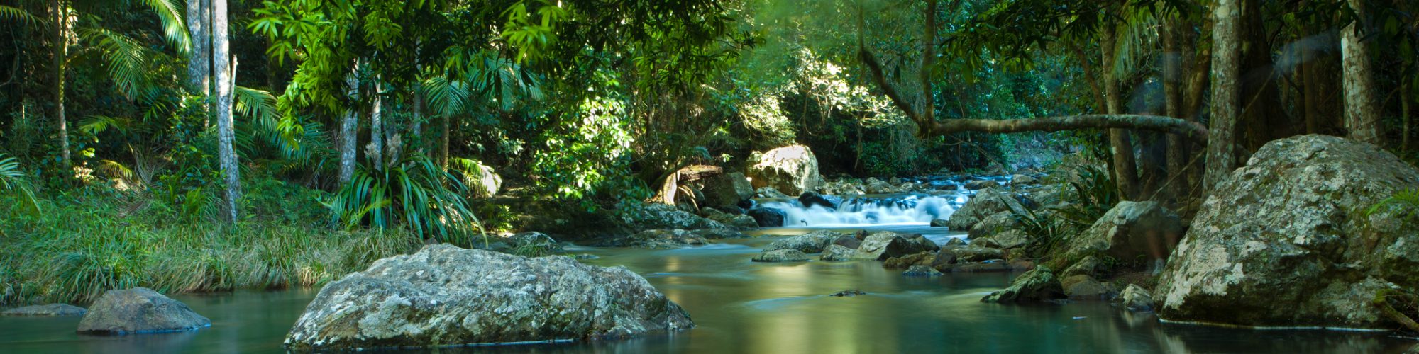 Purling falls, Springbrook, Queensland Australia